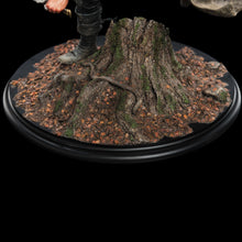 Load image into Gallery viewer, The Lord of the Rings Aragorn at Amon Hen 1/6 Scale Statue
